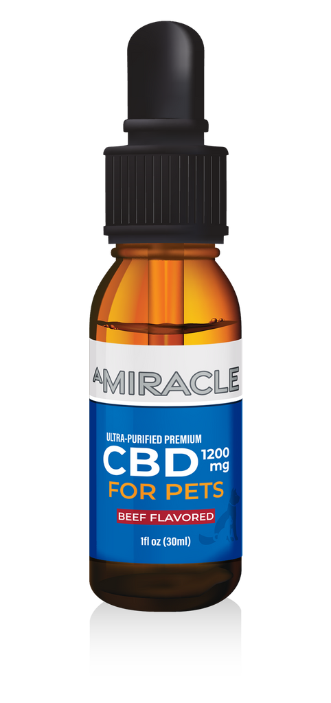 CBD Pet Oil 1200 mg Beef Flavor